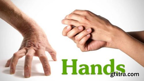 Proko - Poses for Artists - Hands