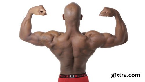 Proko - Poses for Artists - Hands