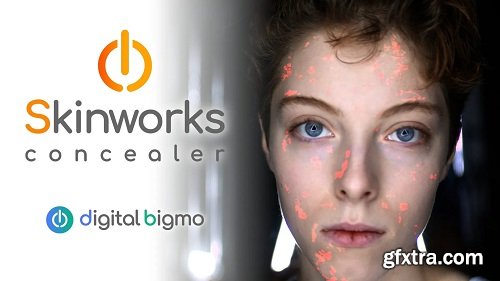 digitalbigmo - Skinworks 2024.11.00