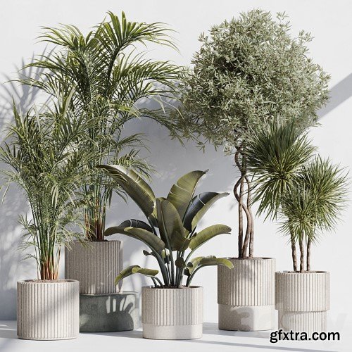 3dsky Pro - indoor plant set 69