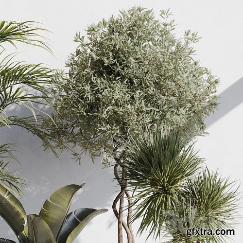 3dsky Pro - indoor plant set 69