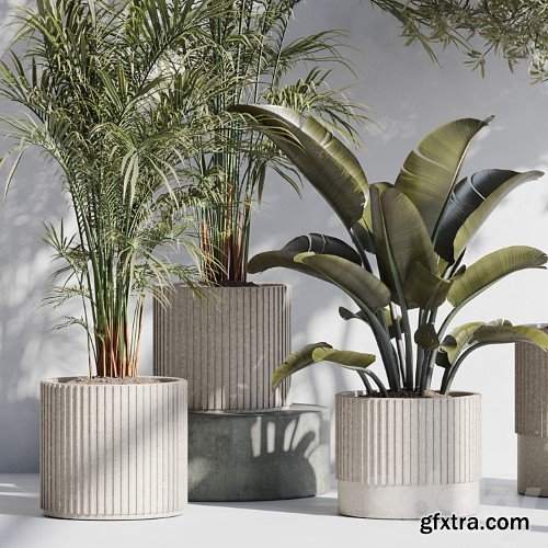 3dsky Pro - indoor plant set 69