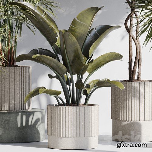 3dsky Pro - indoor plant set 69