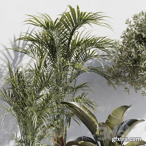 3dsky Pro - indoor plant set 69