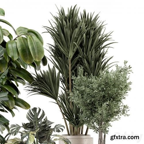 3dsky Pro - Indoor Plants in Ferm Living Bau Pot Large - Set 1328