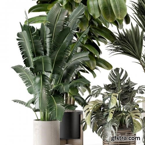 3dsky Pro - Indoor Plants in Ferm Living Bau Pot Large - Set 1328