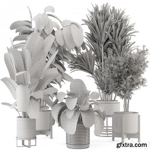3dsky Pro - Indoor Plants in Ferm Living Bau Pot Large - Set 1328