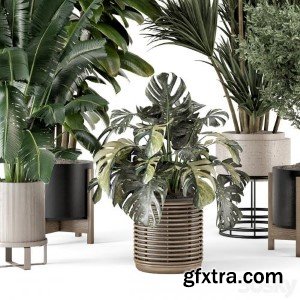3dsky Pro - Indoor Plants in Ferm Living Bau Pot Large - Set 1328
