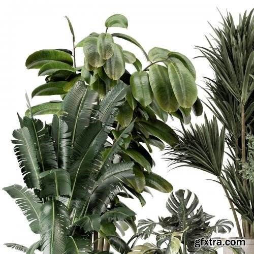 3dsky Pro - Indoor Plants in Ferm Living Bau Pot Large - Set 1328