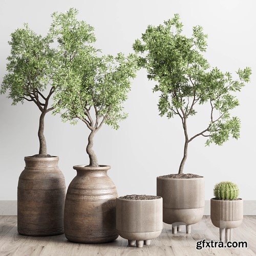 3dsky Pro - collection indoor outdoor plant 114 vase concrete wood old pot tree cactus