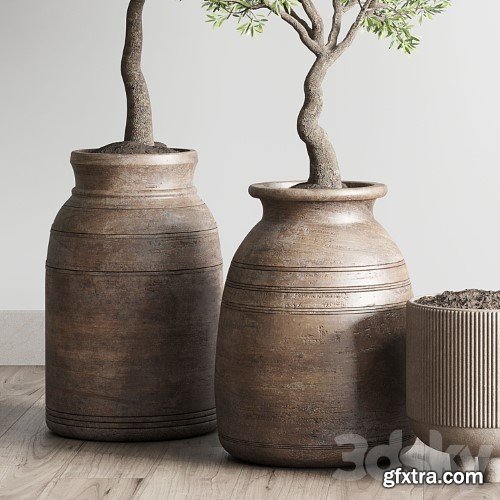 3dsky Pro - collection indoor outdoor plant 114 vase concrete wood old pot tree cactus