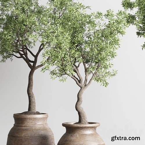 3dsky Pro - collection indoor outdoor plant 114 vase concrete wood old pot tree cactus