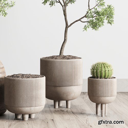 3dsky Pro - collection indoor outdoor plant 114 vase concrete wood old pot tree cactus