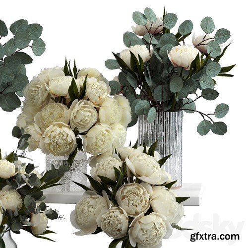 3dsky Pro - Bouquets of eucalyptus and peonies