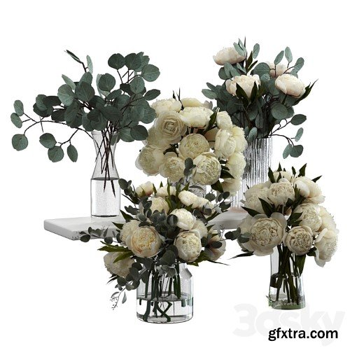 3dsky Pro - Bouquets of eucalyptus and peonies