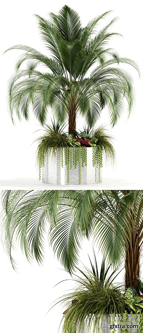 3dsky Pro - Plants collection 104