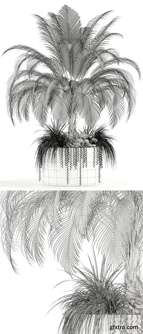 3dsky Pro - Plants collection 104