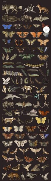 CreativeMarket - Ultimate Vintage Collage Creator - 12770597