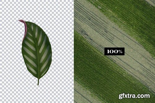 CreativeMarket - Ultimate Vintage Collage Creator - 12770597