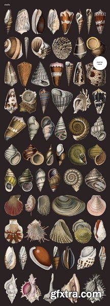 CreativeMarket - Ultimate Vintage Collage Creator - 12770597