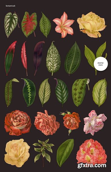 CreativeMarket - Ultimate Vintage Collage Creator - 12770597