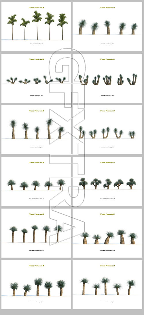 iCube R&amp;D Group - iTrees Palms Vol.1