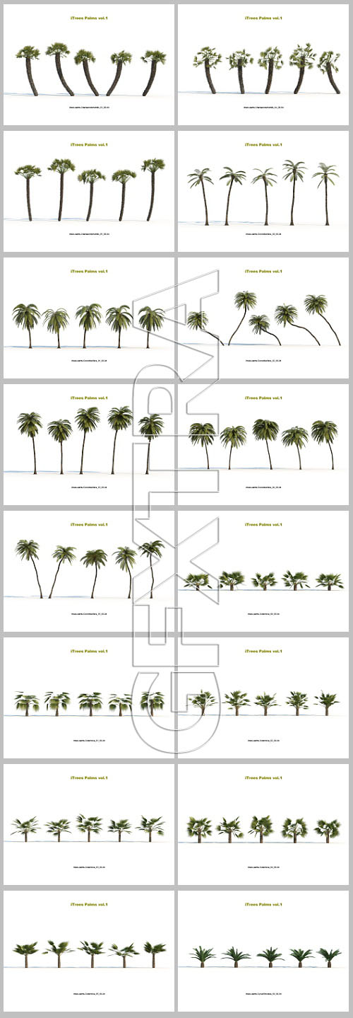 iCube R&amp;D Group - iTrees Palms Vol.1