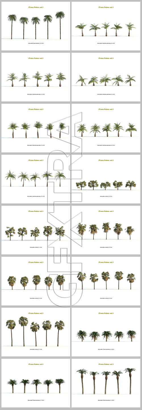 iCube R&amp;D Group - iTrees Palms Vol.1