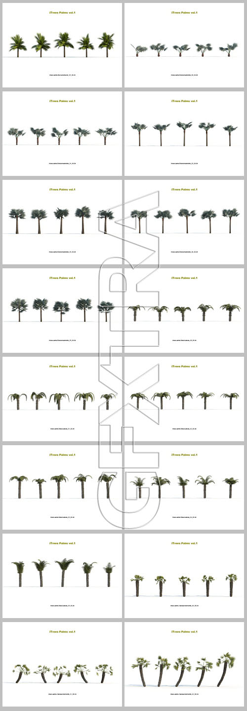 iCube R&amp;D Group - iTrees Palms Vol.1