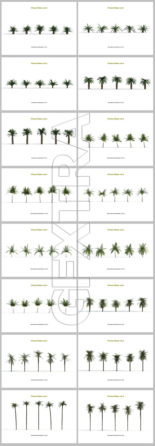 iCube R&amp;D Group - iTrees Palms Vol.1