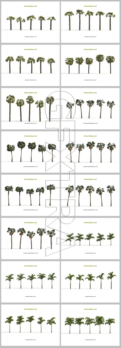 iCube R&amp;D Group - iTrees Palms Vol.1