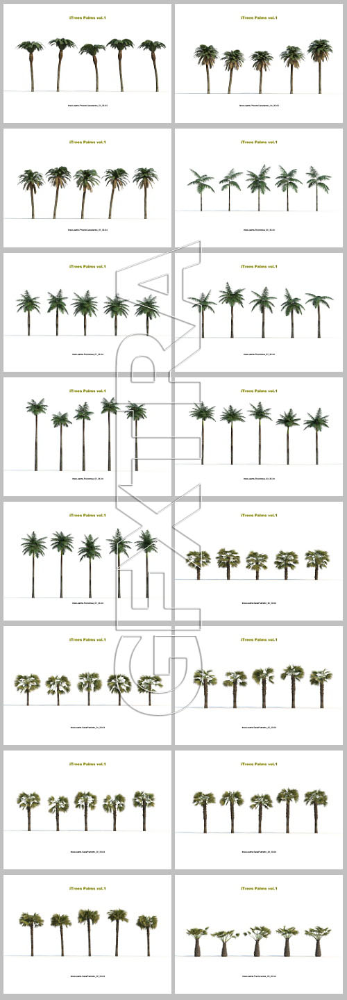 iCube R&amp;D Group - iTrees Palms Vol.1