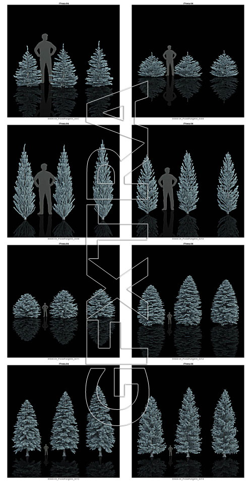 iCube R&amp;D Group - iTrees Vol.4 Fir Trees