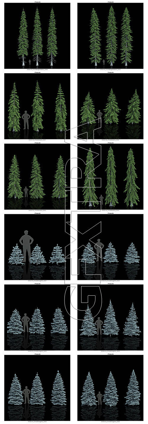 iCube R&amp;D Group - iTrees Vol.4 Fir Trees