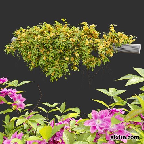 3dsky Pro - Hanging Plant 23