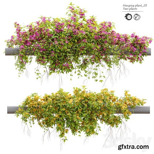 3dsky Pro - Hanging Plant 23