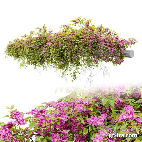 3dsky Pro - Hanging Plant 23