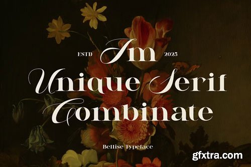 CreativeMarket - Bellise - Combination Serif