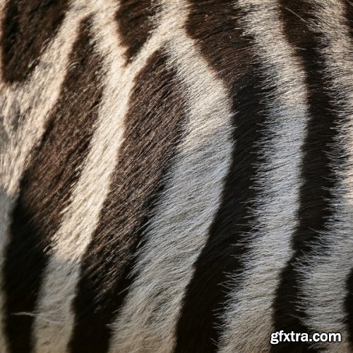 Blender Market - Fluffy Maker v1.0