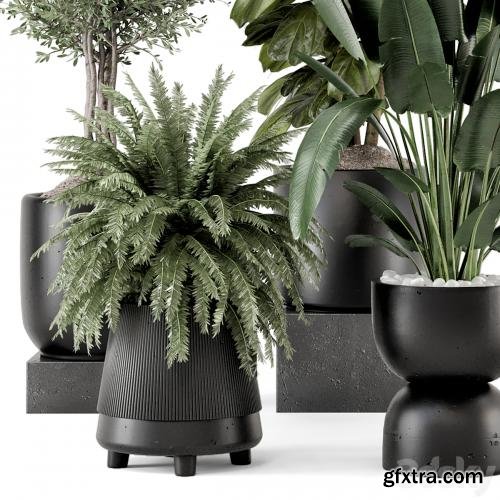 3dsky Pro - Indoor Plants in Ferm Living Bau Pot Large - Set 1277