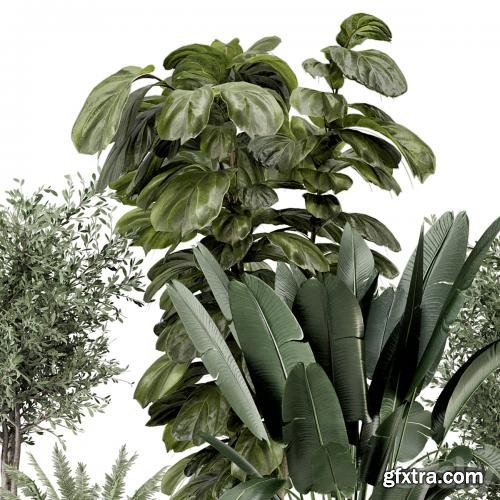 3dsky Pro - Indoor Plants in Ferm Living Bau Pot Large - Set 1277