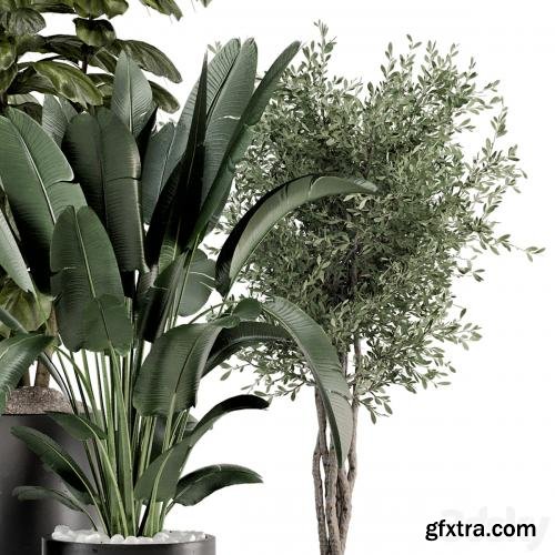 3dsky Pro - Indoor Plants in Ferm Living Bau Pot Large - Set 1277