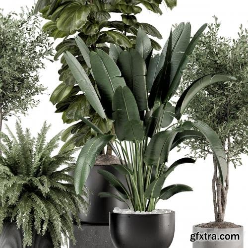 3dsky Pro - Indoor Plants in Ferm Living Bau Pot Large - Set 1277