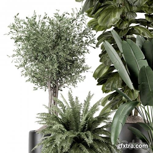 3dsky Pro - Indoor Plants in Ferm Living Bau Pot Large - Set 1277