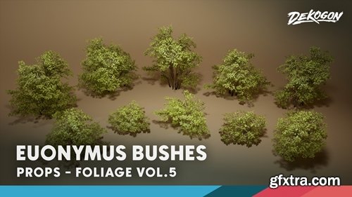 Fab - Foliage VOL.5 - Euonymus Bushes (Nanite and Low Poly) v5.1+