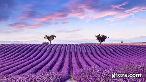 CreativeLive - Mastering the Art of Photography CreativeLive - Mastering the Art of Photography