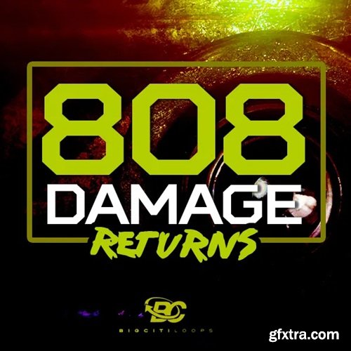 Big Citi Loops 808 Damage Returns