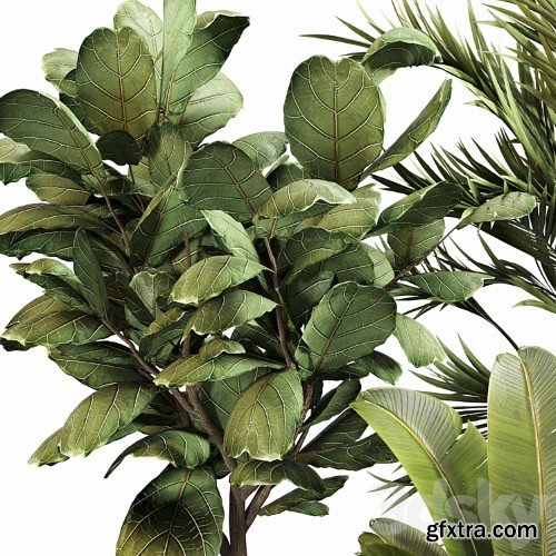 3dsky Pro - Indoor Plant Set 052