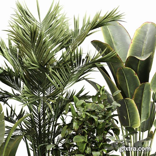 3dsky Pro - Indoor Plant Set 052