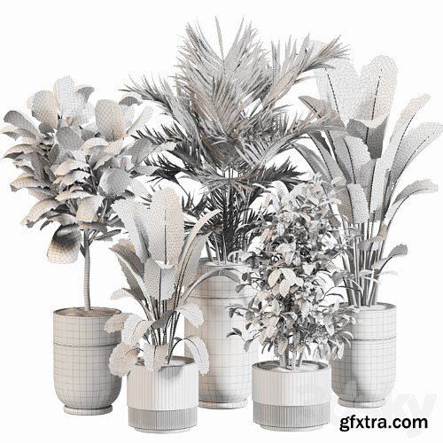 3dsky Pro - Indoor Plant Set 052